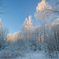 ***** :: Олег Семенцов