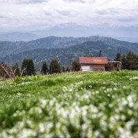 Грузия в мае :: Иван Евгеньев