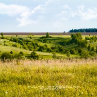 Земля Нижегородская :: Юлия Рябинина