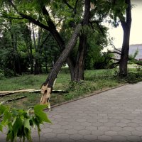 После урагана в Одессе 31.05.2013 :: Алексей Помогаев
