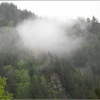 В облаке белого тумана :: galina tihonova