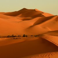 женственные изгибы пустыни :: Алёна Писаренко