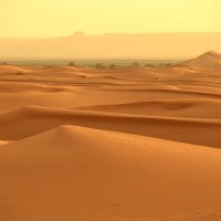 женственные изгибы пустыни :: Алёна Писаренко