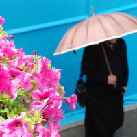 Цветы и дождь :: виталий Цицюрский