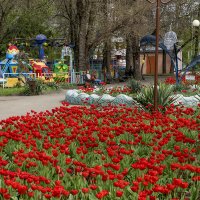 Весна в моем городе :: Игорь Сикорский