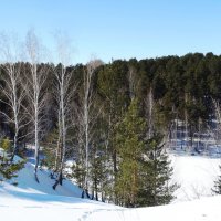 *** :: Александр Подгорный