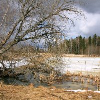 Весна в окрестностях Молочного. :: Николай Карандашев