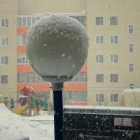 Снегопад :: людмила Миронова