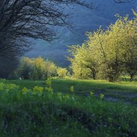 золотой час/у подножья Бештау :: Ник Карелин