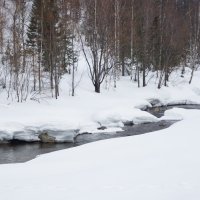 наступление весны :: ульяна 