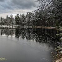 Лесное озеро :: Valeriy Piterskiy