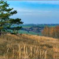 *** :: Александр Лихачёв