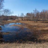 Весна пришла :: Анатолий Иргл