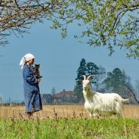 Пастушка :: Валерий Талашов