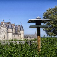 château d'Amboise :: Alex 