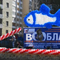 Астраханский фестиваль "Вобла-2016" :: Александр Владимирович Никитенко