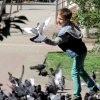 Весна, мальчик и голуби :: Нина Бутко