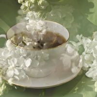 Чай с ароматом белой сирени :: Завриева Елена Завриева