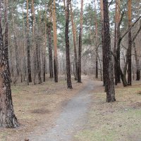 Ранней весной в ненастье. :: Олег Афанасьевич Сергеев