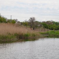 Между небом и водой :: Владимир Боровков