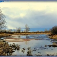 Весеннее равновесие... :: Анатолий Анищик