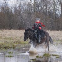 Nord West В Мураново :: Татьяна 