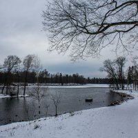 Весна такая весна :: Алёнка Шапран