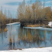 Последний снег :: Любовь Потеряхина