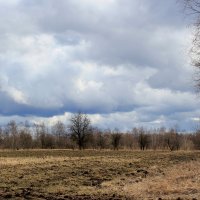 Пашня просыпается. :: Наталья Лунева 