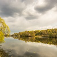 Старица Москва реки :: Наталия Горюнова