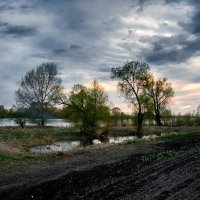 Вечер у Иртыша. :: Виктор Гришенков