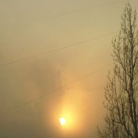 Солнце сквозь туман :: Николай Филоненко 