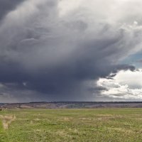 Прогулка :: Виктор Четошников