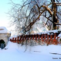 Фёдоровский городок  / 2 / :: Сергей 