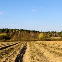 в ожидании пахоты :: Galina 