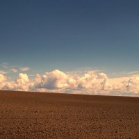 Облака над полем :: Валерий Талашов