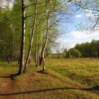 Дорожка любимая не только мной :: Андрей Лукьянов