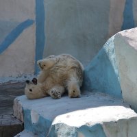 0884 :: Аркадий Лаптенко