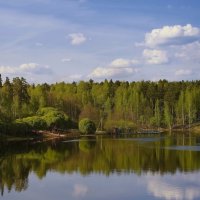 Природа одевается в летний наряд.... :: Сергей Клапишевский