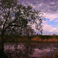 Наклонилось, вдруг, небо ниже ... :: Евгений Юрков