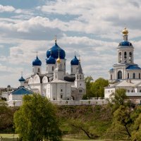 Свято-Боголюбский женский монастырь. :: Сергей Николаевич Бушмарин