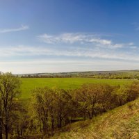 Уральское предгорье. :: Анна Никонорова