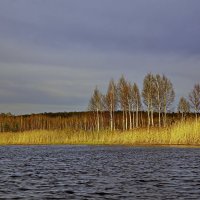 Афонинский торфокарьер :: Евгений Жиляев