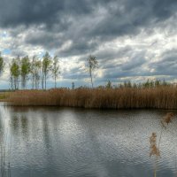 Озёра Смоленщины :: Милешкин Владимир Алексеевич 