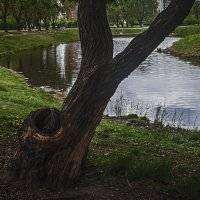 В парке :: сергей адольфович 