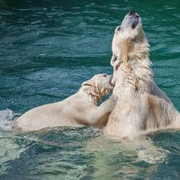 Водные процедуры :: Владимир Габов