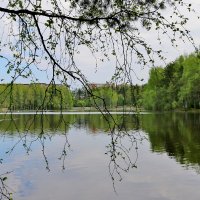 Озеро :: Евгения К