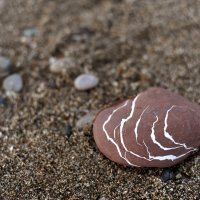 Красивый морской камень :: Татьяна Лысенкова