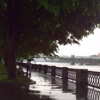 Дождь :: Панова Ольга