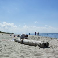 Дикий пляж :: vik zhavoronka
